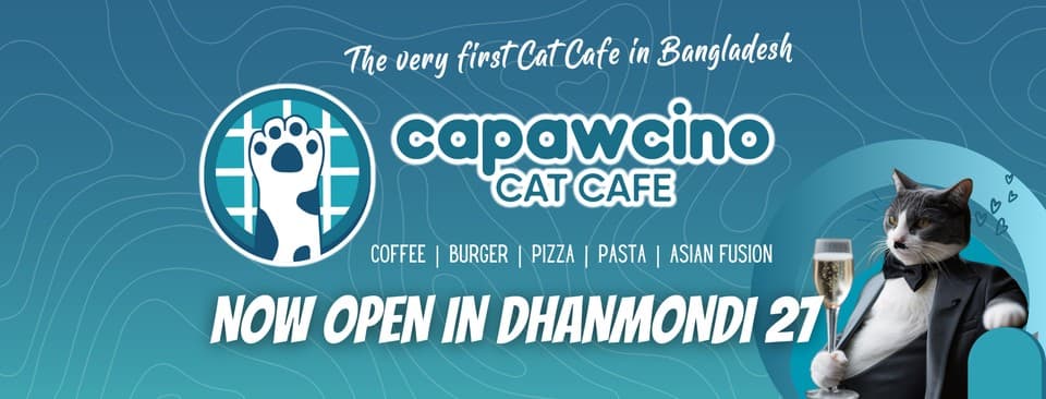 Capawcino Cat Cafe (Dhanmondi)